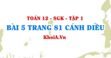 Bài 5 trang 81 Toán 12 tập 1 Cánh Diều